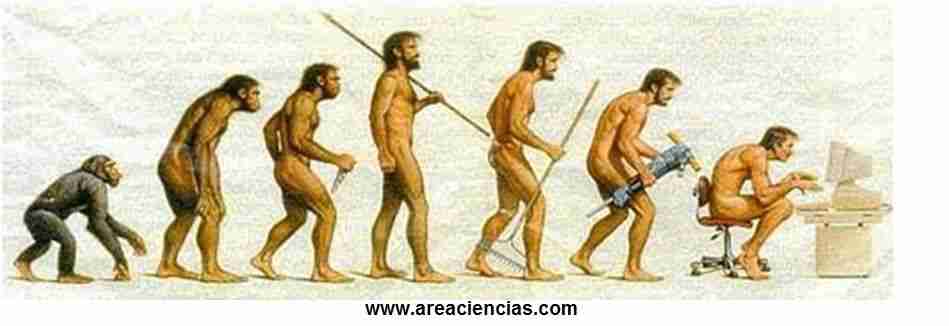 Resultado de imagen para evolucion del hombre