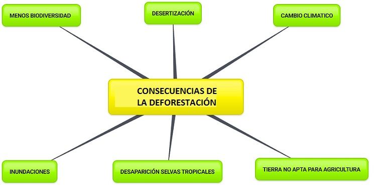 consecuencias de la deforestacion