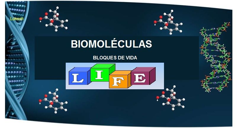 biomoleculas