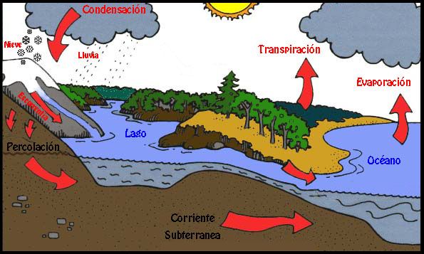 el ciclo del agua