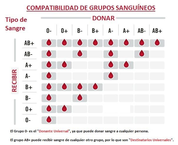 grupos de sangre compatibles para embarazo