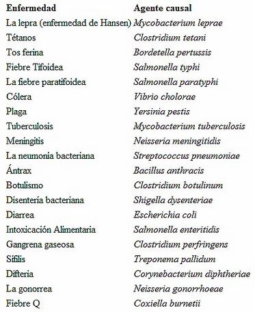 enfermedades bacterianas