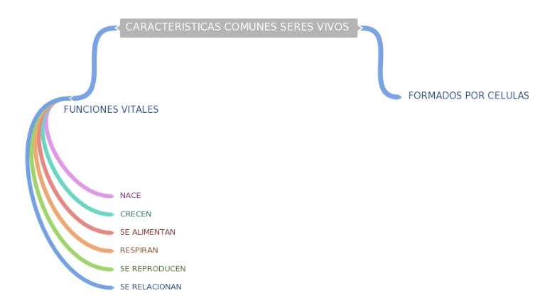 funciones vitales