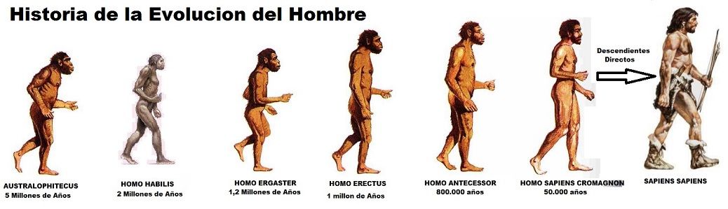 historia de la evolucion del hombre