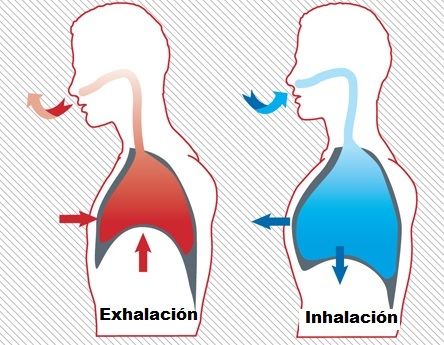 inhalacion y exhalacion