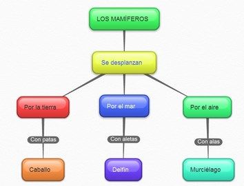 mamiferos esquema