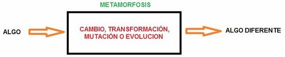 metamorfosis