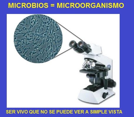 microbios