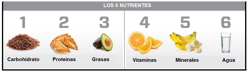 nutrientes