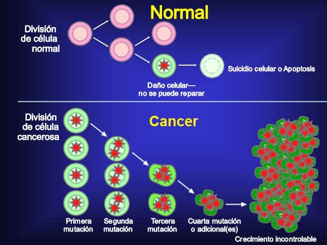 que es el cancer