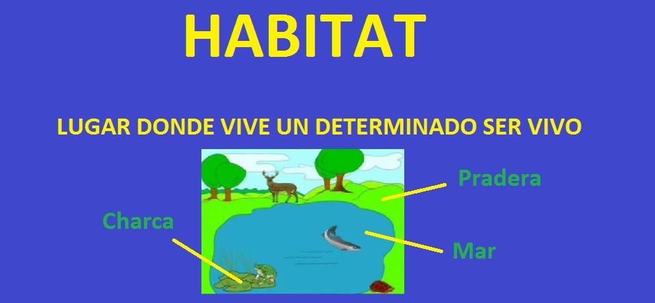 que significa habitat