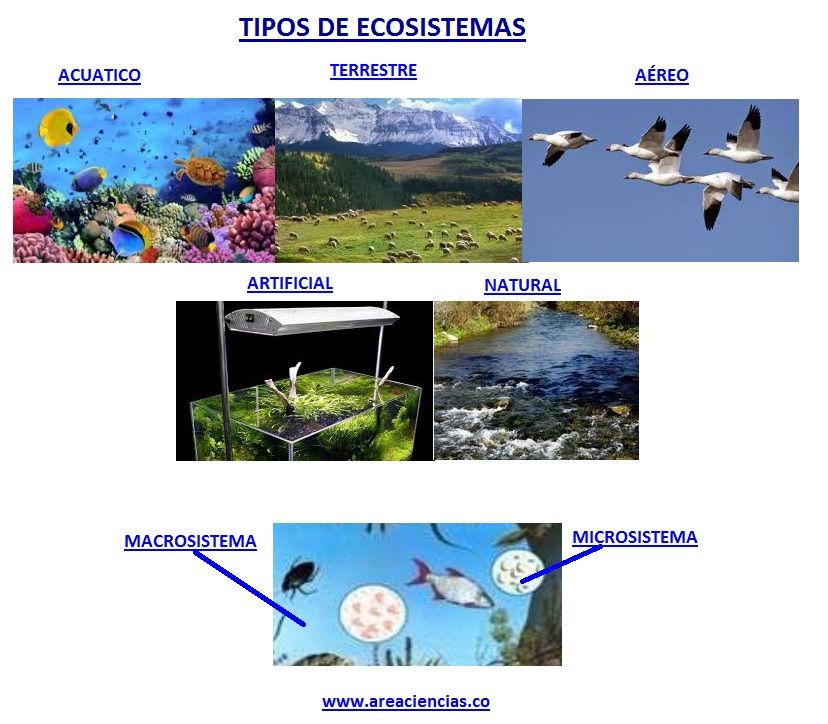 tipos de ecosistemas