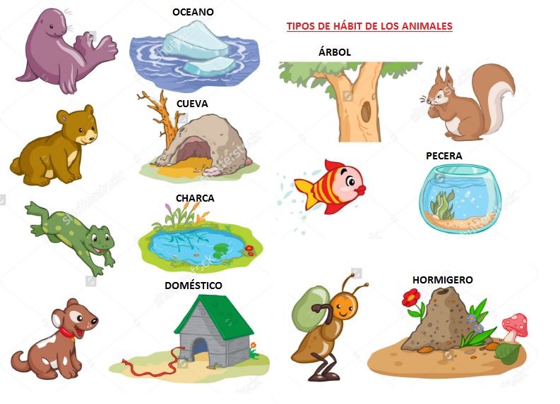 tipos de habitat de los animales