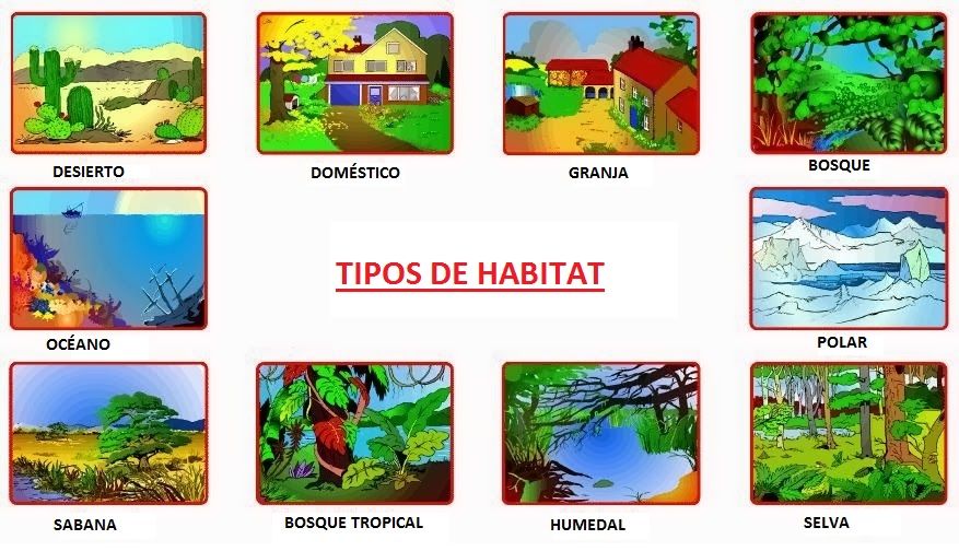 tipos de habitat