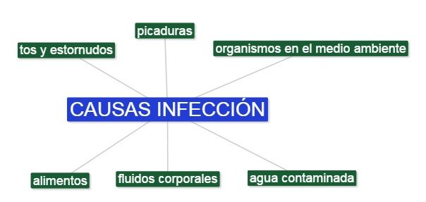 transmision enfermedades infecciosas