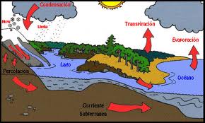 ciclo del agua.jpg