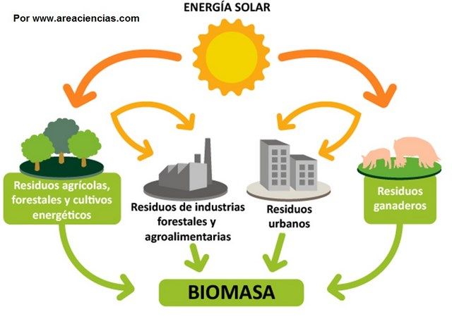 biomasa