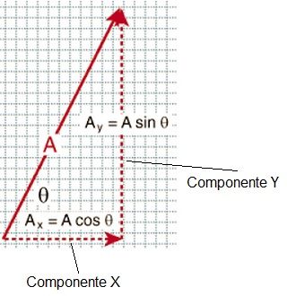 componentes vector