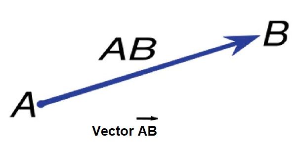 que es un vector