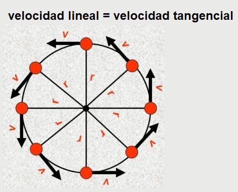 velocidad tangencial