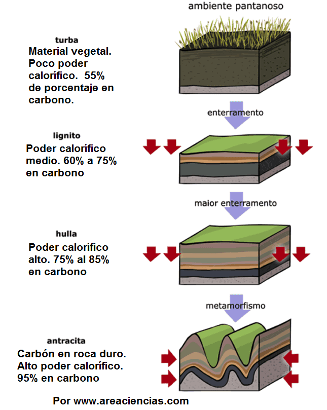 tipos de carbon