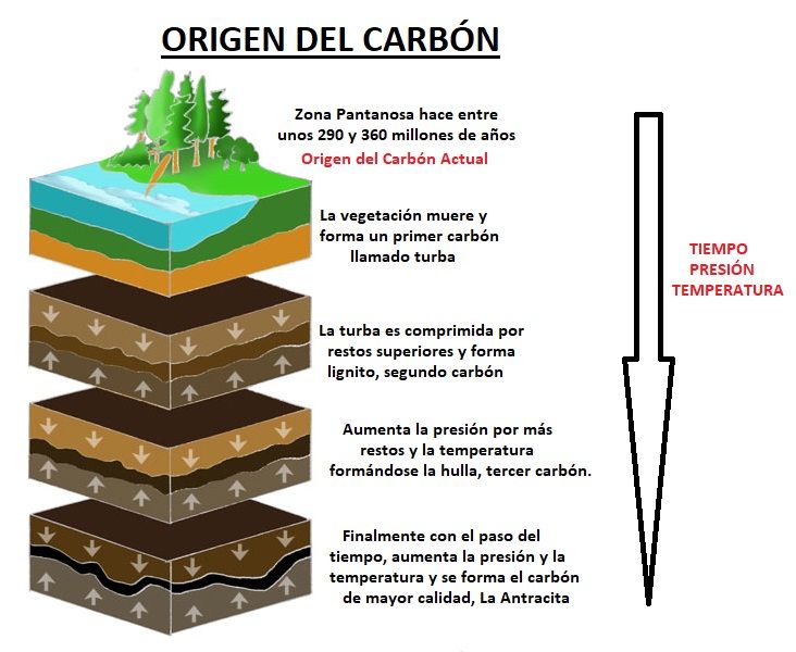origen del carbon