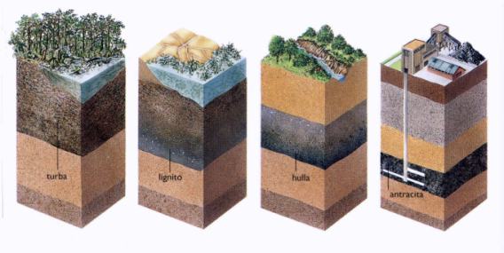 tipos de carbon
