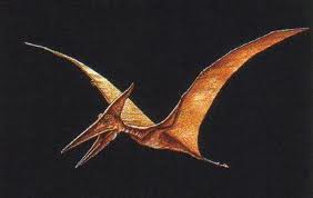 pterosaurio.jpg