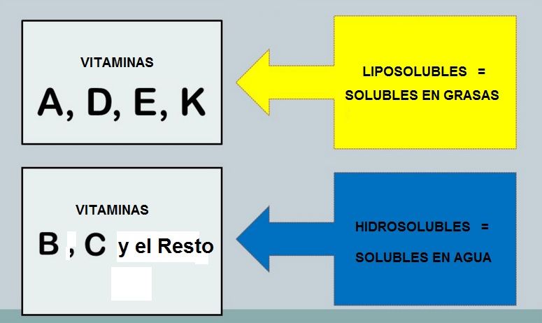 clasificacion de las vitaminas