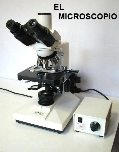 microscopio