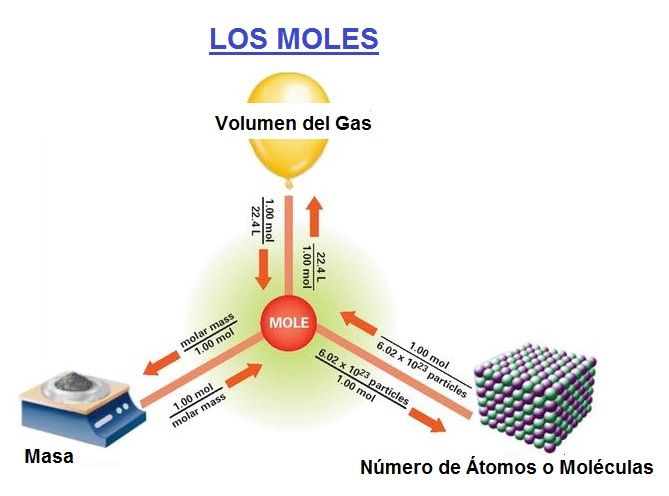 los moles