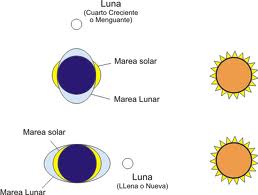 la luna y las mareas