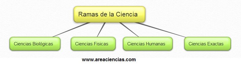 ramas de la ciencia