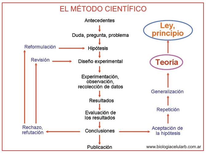 Hipotesis, Teoria y Ley Diferencias - Areaciencias