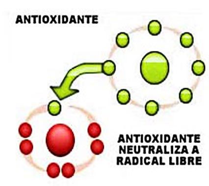 vitaminas antioxidantes