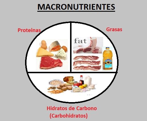 macronutrientes