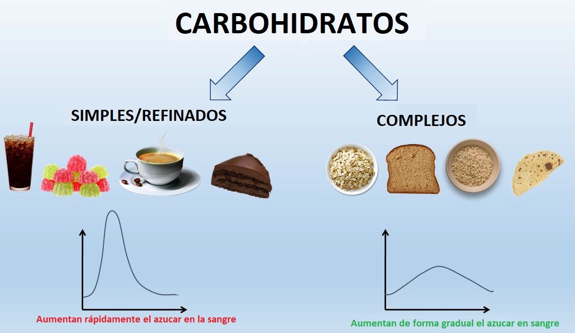 tipos de carbohidratos
