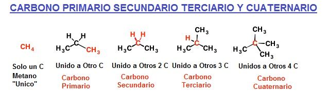 Carbono primario secundario terciario