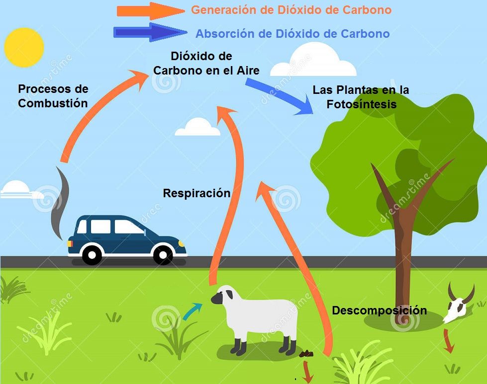 como se genera el dioxido de carbono