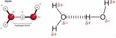 dipolo-dipolo agua oxigeno