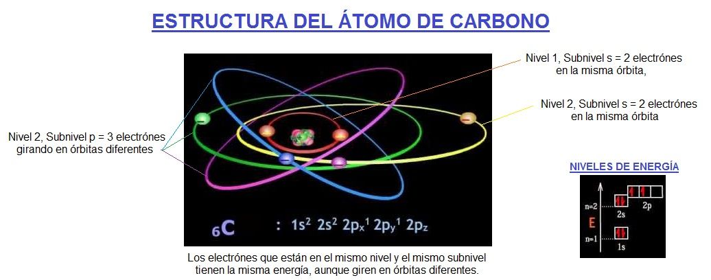 Estructura del Átomo de Carbono - Areaciencias