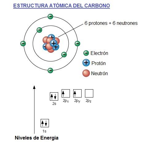 ESTRUCTURA DEL ATOMO DE CARBONO - AreaCiencias