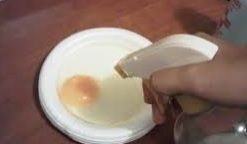 experimento huevo frito en alcohol