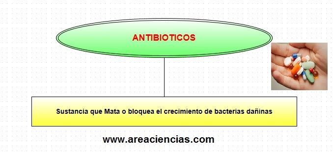 antibioticos