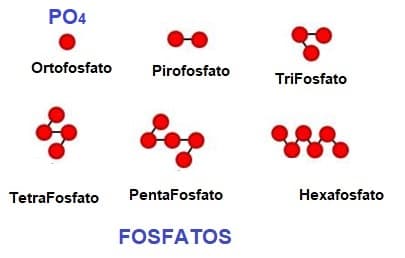 ortofosfato y fosfatos