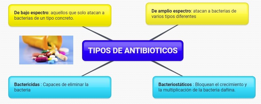 tipos de antibioticos