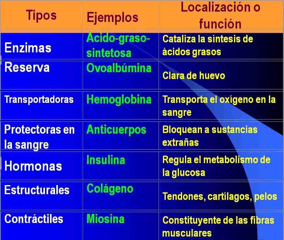 tipos de proteinas