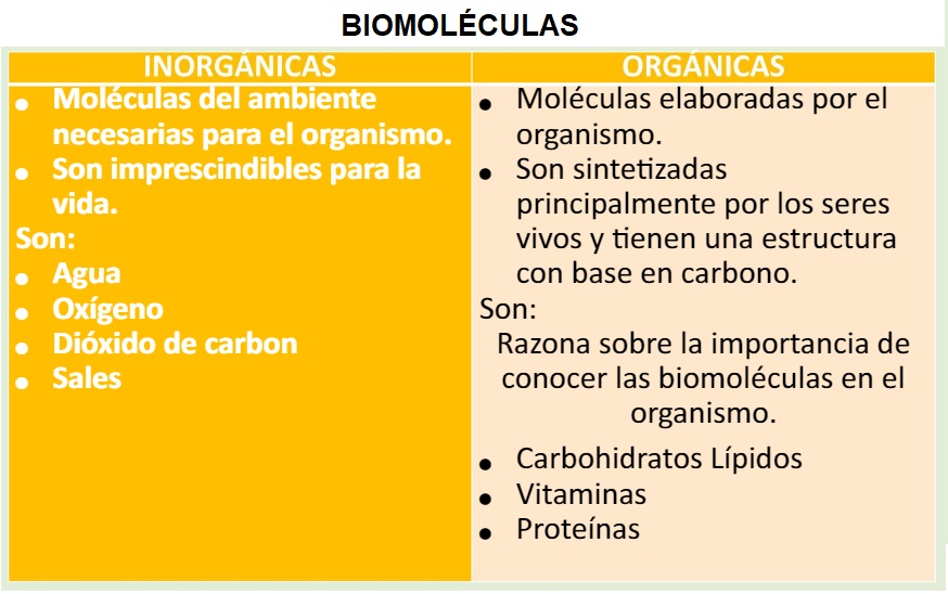 biomoléculas orgánicas e inorgánicas